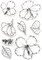 Flower Leaf Stamps and Dies for Card Making, Words Flower Cutting Die and Clear Stamps for Bullet Journal DIY Scrapbook Decoration